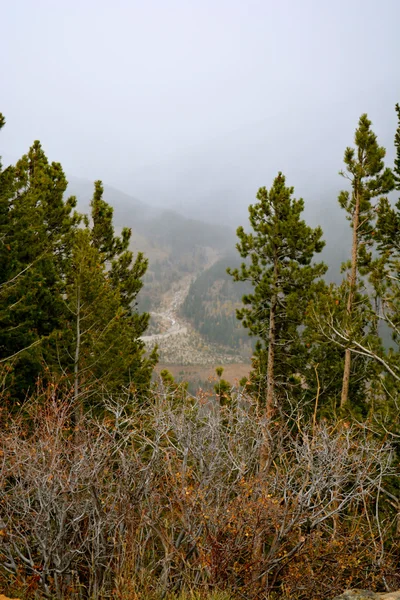 RMNP - 741 — Stok fotoğraf