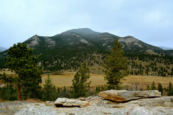 RMNP - 758 — Foto Stock