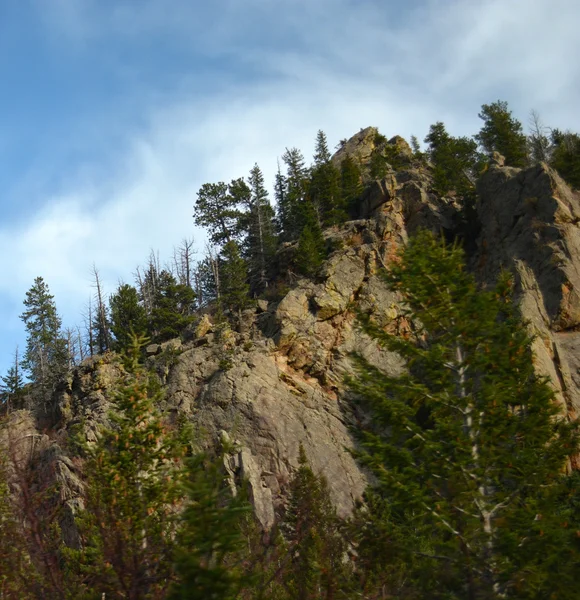 RMNP - 812 — Foto Stock