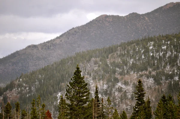 Rmnp 2-330 — Stockfoto