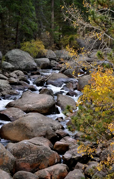 RMNP 2-314 — Stok fotoğraf