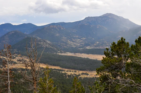 Rmnp 2-635 — Foto Stock