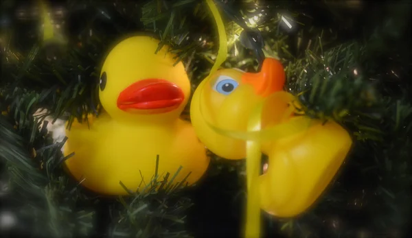 Rubber Ducky Ornament — Stock Photo, Image