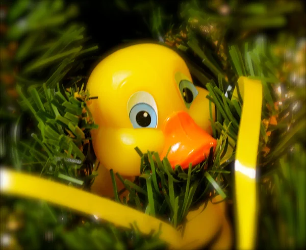 Rubber Ducky Ornament — Stock Photo, Image