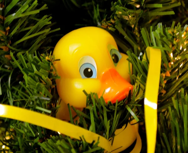 Gummi ducky prydnad — Stockfoto