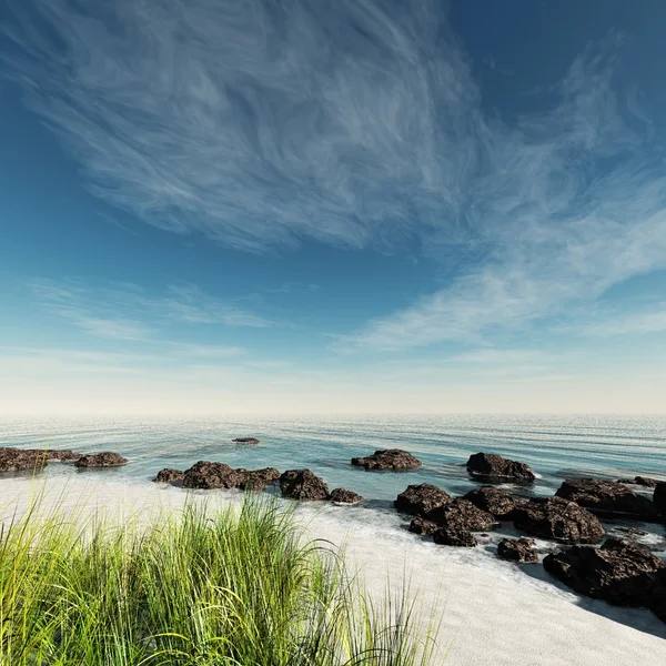 Vahşi deniz kıyısı — Stok fotoğraf