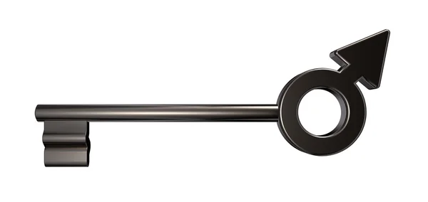 Male key — Stock Photo, Image