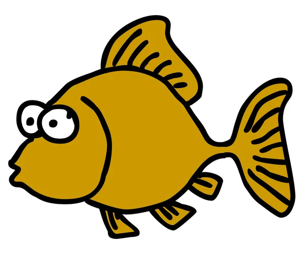 Funny fish — Stock Photo, Image