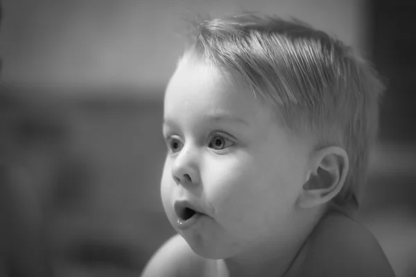 Portrait Little boy, child — Stock Photo, Image