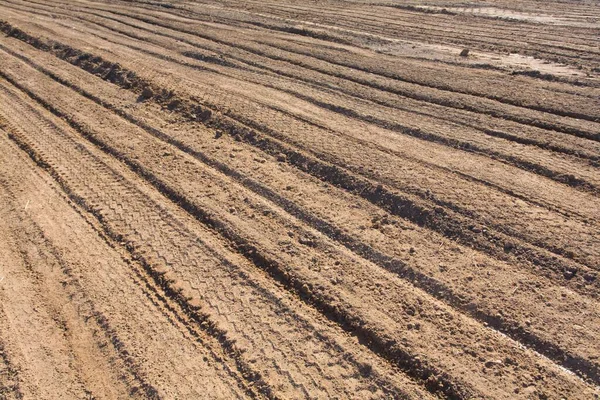Dry Land Desert Water Life Texture Cracked Clay Background — Fotografia de Stock