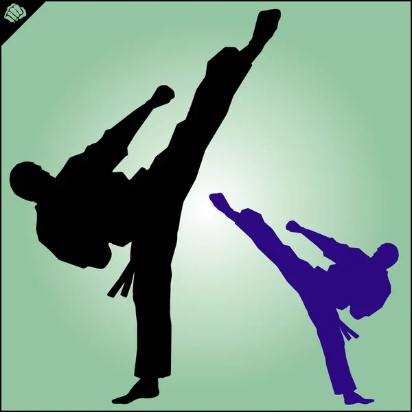 Martial Art Colored Symbol Logo Karate Creative Design Emblem — Stock Vector