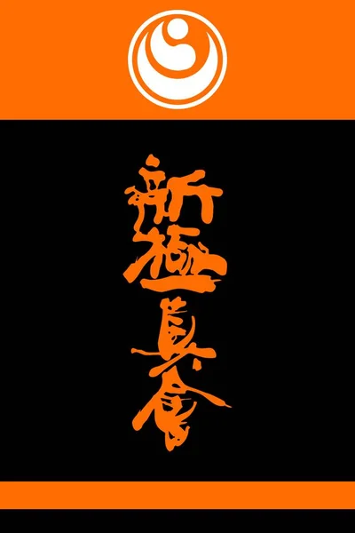 Traditional Japan Combat Martial Arts Shinkyokushin Karate Taekwon Hapkido Judo — 图库照片