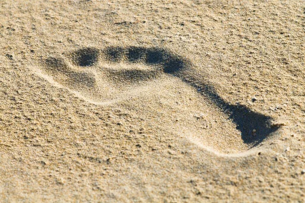 Texture Sea Beach Sand Footsteps — Zdjęcie stockowe