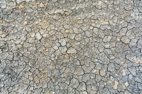 Dry Land Desert Water Life Texture Cracked Clay Background — стоковое фото