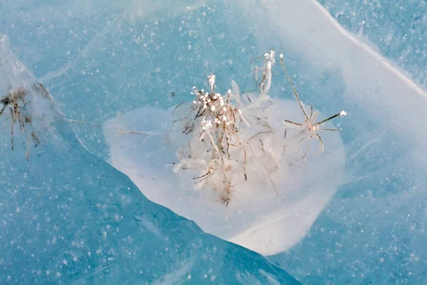 Ice Beautiful Blue Texture Design Pattern — Photo