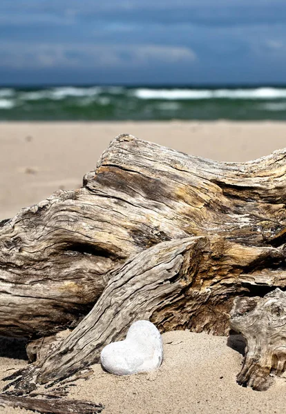 Stenen Hart Drijfhout Een Zandstrand Ideaal Voor Een Wenskaart Geschenkdoos — Stockfoto