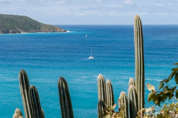 Vue Grande Île Camanoe Sur Mer Des Caraïbes Avec Cactus — Photo