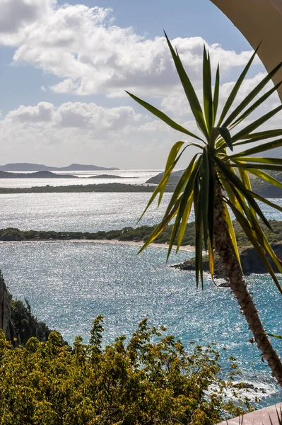 Vista Panorámica Con Palmera Desde Great Camanoe Island Hasta Little — Foto de Stock