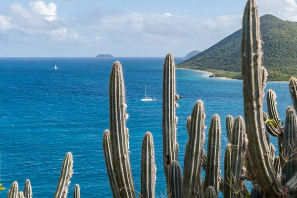 Vistas Panorámicas Desde Isla Gran Camanoe Sobre Mar Caribe Las —  Fotos de Stock