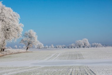 Kuzey Almanya 'da Kış Idyll