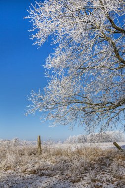 Kuzey Almanya 'da Kış Idyll