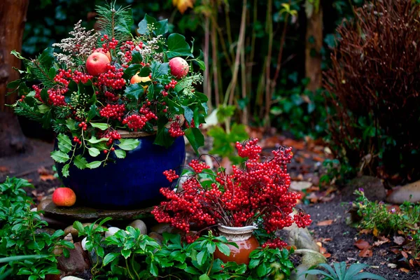 Zimowa dekoracja z Ilex i jabłka — Zdjęcie stockowe