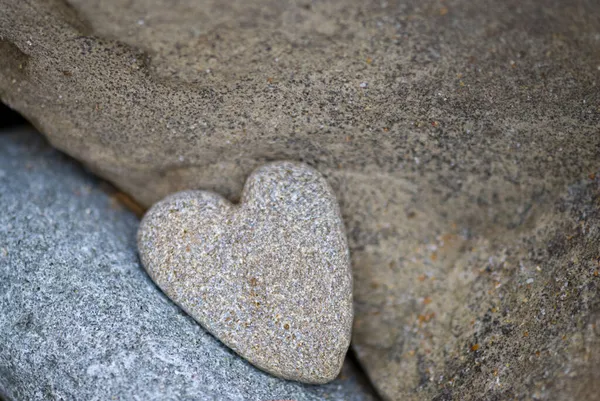 Single Heart Shaped Pebble On Rock — Stockfoto