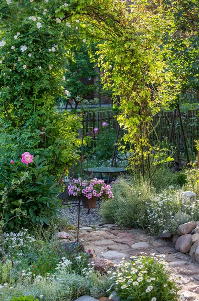 Abdruck Von Pflanzen Und Blumen Eingefangen Meinem Landgarten Perfekt Für — Stockfoto