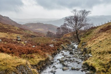 İngiliz Gölü Bölge Yolu Seyahati