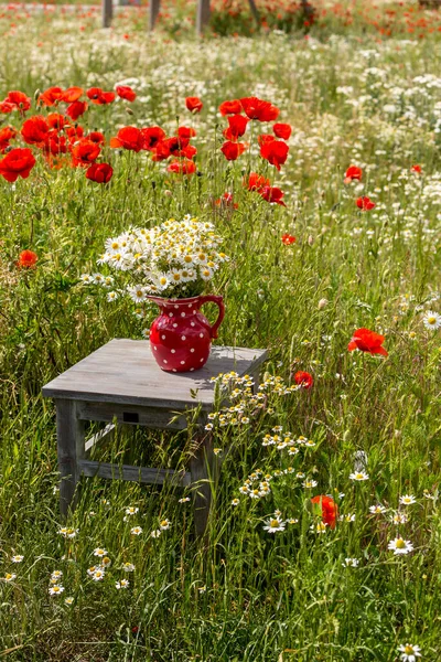 Nature morte de fleurs sauvages sur chaise rustique — Photo