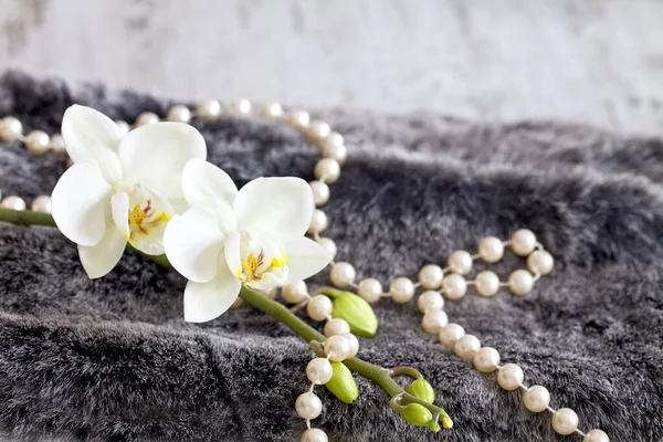 Elegante Natura Morta Con Fiori Bianchi Orchidea Perle Pelliccia Finta — Foto Stock