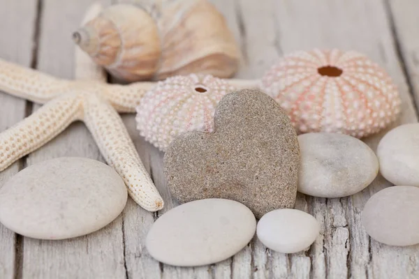 Maritimes Herz Stillleben Mit Kieselsteinen Muscheln Und Seesternen Perfekt Für — Stockfoto