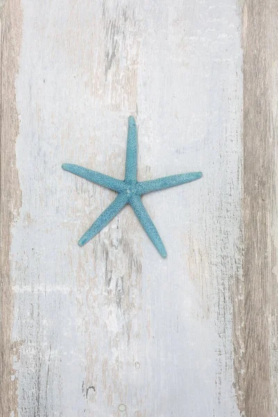 Estrela Mar Azul Turquesa Troncos Angustiados Com Espaço Cópia Perfeito — Fotografia de Stock