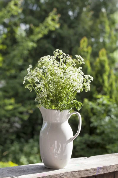 Weiße wilde Petersilie in der Vase — Stockfoto