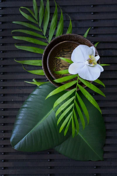 zen style still life with green palm and ficus leaf, perfect for a spa layout, greeting card, poster, gift box or calendar image
