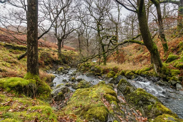 British Lake District Road Trip — стоковое фото