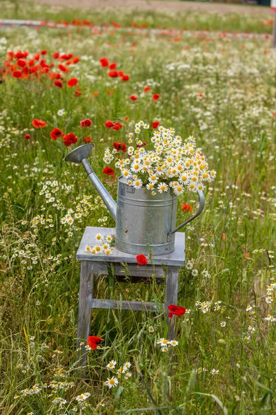Divoká květina zátiší s plechovkou — Stock fotografie