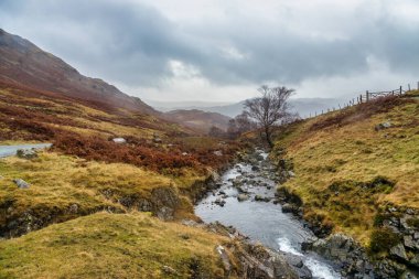 Büyük Britanya 'nın kuzeyindeki göl bölgesinde Kasım ayı sonlarında yapılan bir yolculuktan alınan izlenimler