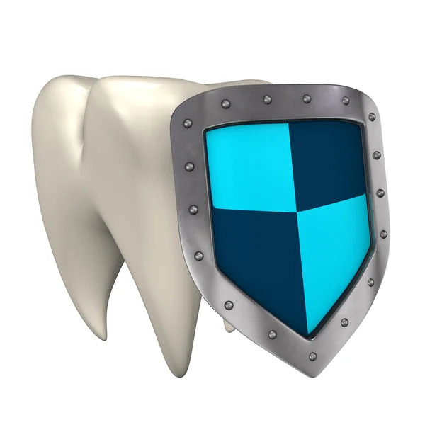 Shield Tooth — Stock Photo, Image