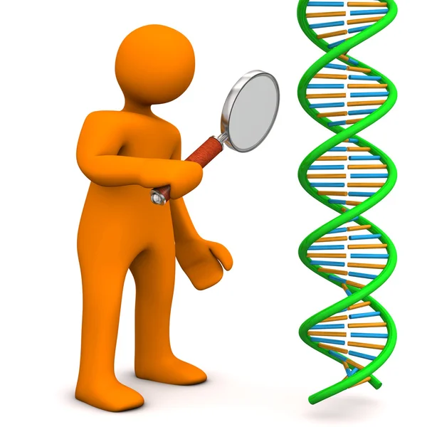 Puppenlupe dna — Stockfoto