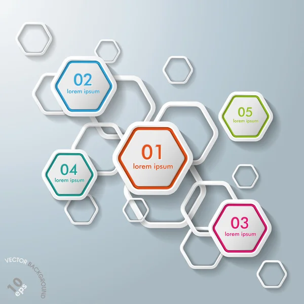 White Hexagons Infographic — Stock Vector