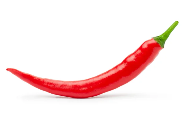 Chili pepper — Stock fotografie