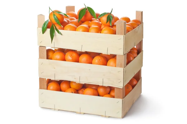 Три роздрібні ящики стиглих мандаринів — стокове фото