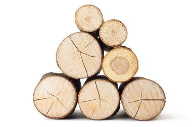 Heap of several logs. View at saw cut. clipart