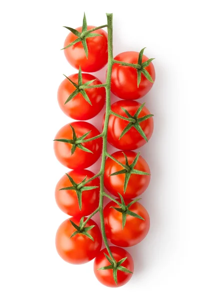 Tomates cherry en la rama Imagen de stock