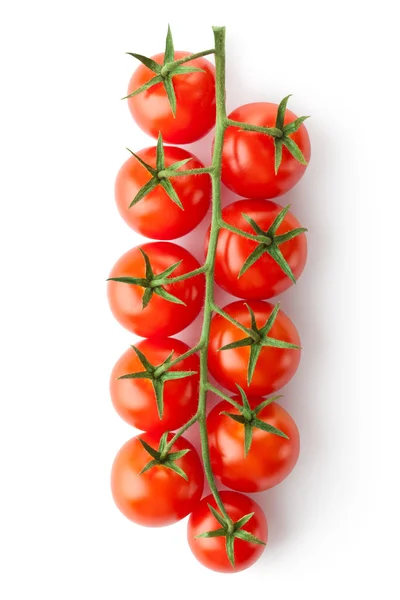 Kirschtomaten auf dem Zweig Stockbild