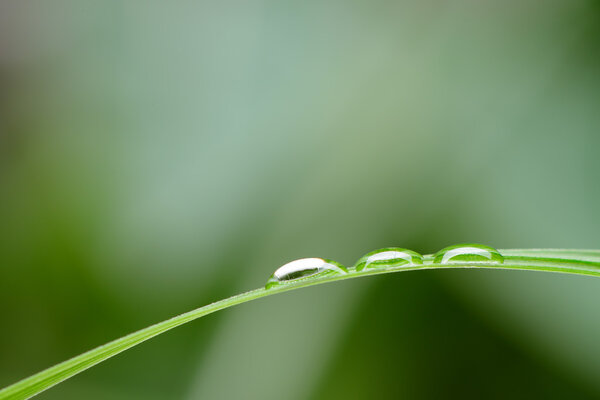 A drop of dew on a blade of grass