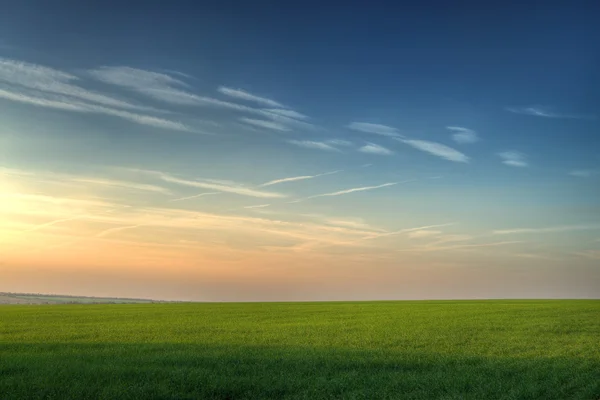 Feld und malerischer Himmel. — Stockfoto