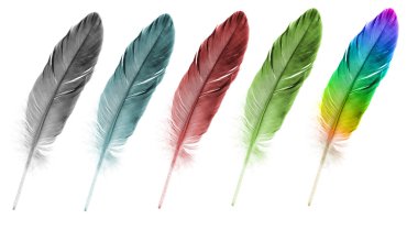 Feather pen set of abstract color clipart