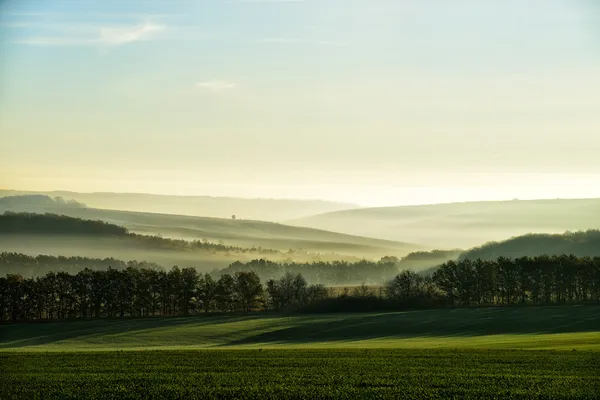 The hills in the fog Stock Picture